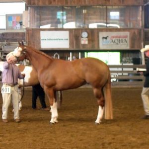 Meet your Posher, Andrea